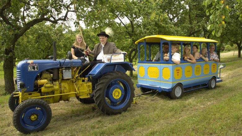 Drum roll please: here comes the apricot express!, © Weinhof Aufreiter