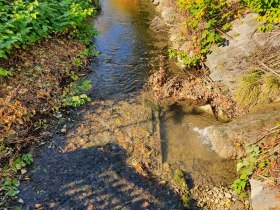 Anzbach, &copy; Wienerwald