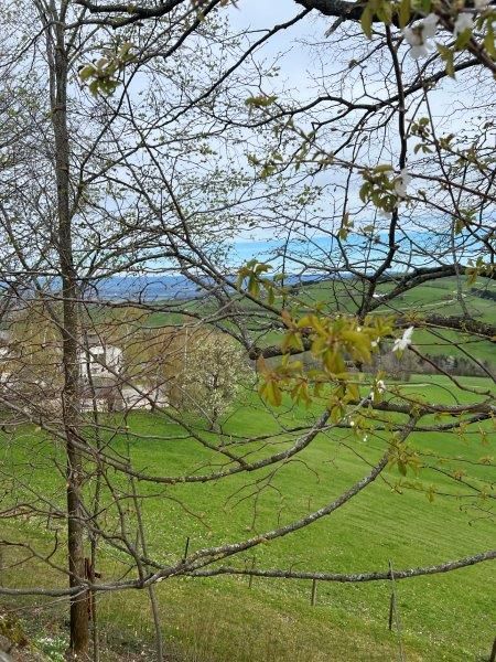 View of St. Leonhard am Walde in spring