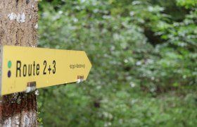 Directional arrow for hiking trails, &copy; "Tut Gut!"