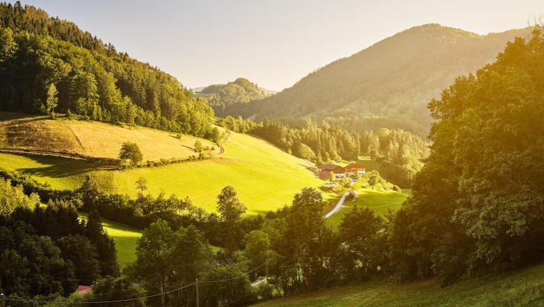 Dwarf farm, © Michael Liebert