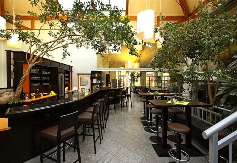 Interior view of a café with bar, high tables and chairs, surrounded by plants.