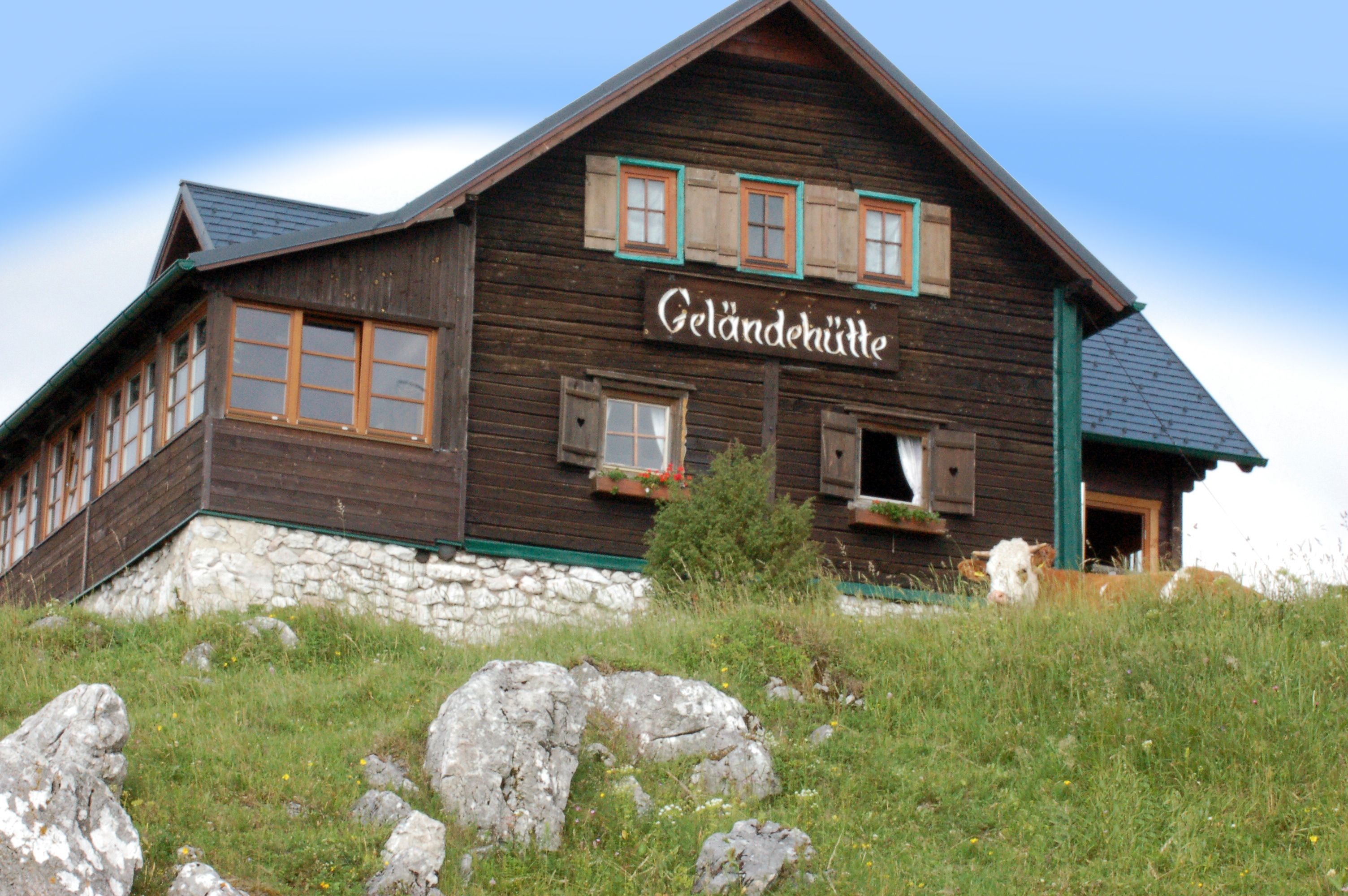 A mountain hut with the inscription 'Geländehütte' on a meadow with rocks and a cow in the foreground.