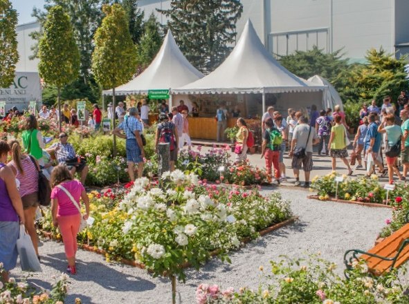 People at a garden fair with flower beds and white tents.
