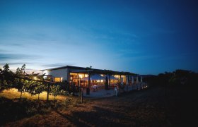 Evening shot of an illuminated Buschenschank (typical tavern) with vines in the foreground and a blue sky in the background.