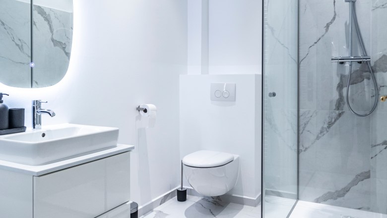 Modern bathroom with shower, toilet and washbasin.