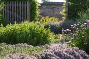 Gardens, © Natur im Garten/ A, Haiden