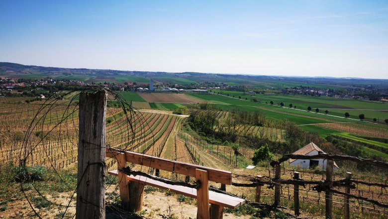 View of vineyards and fields from a rest area with bench and wooden fence.