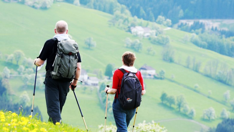 Two hikers with rucksacks and walking sticks on a green meadow with yellow flowers, a hilly landscape in the background.