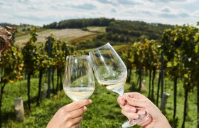 Two people clink glasses in a vineyard.