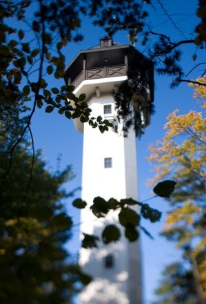 A white observation tower rises into the blue sky, surrounded by trees with autumn leaves.