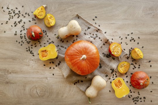 Autumn time = pumpkin time! , © Weinviertel Tourismus/Astrid Bartl