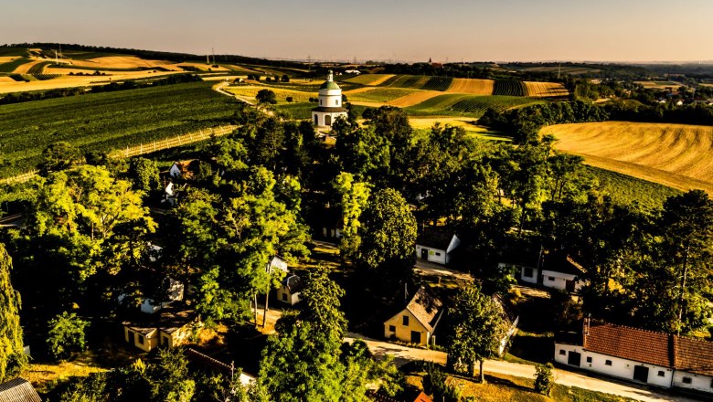 Landscape with fields, trees and a small church in the middle.