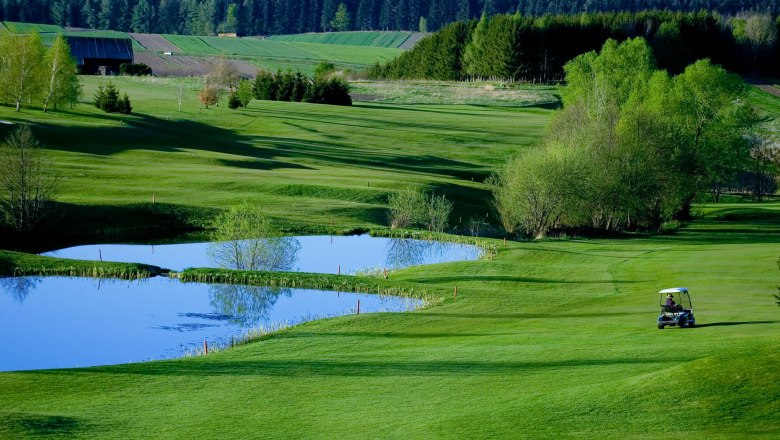 Golf course with pond and golf cart, surrounded by green trees and meadows.