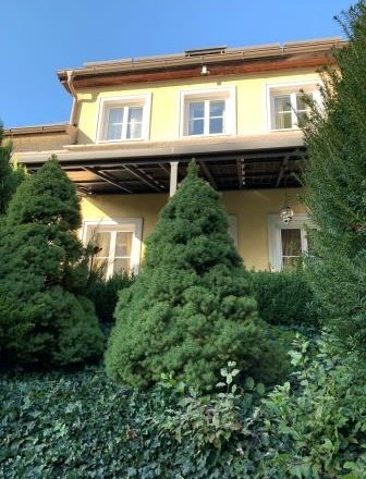 Yellow house with balcony, surrounded by green trees and bushes.