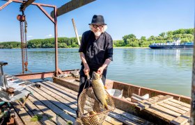 A man with a hat holds a large fish in a net on a wooden bridge on the river (Danube).