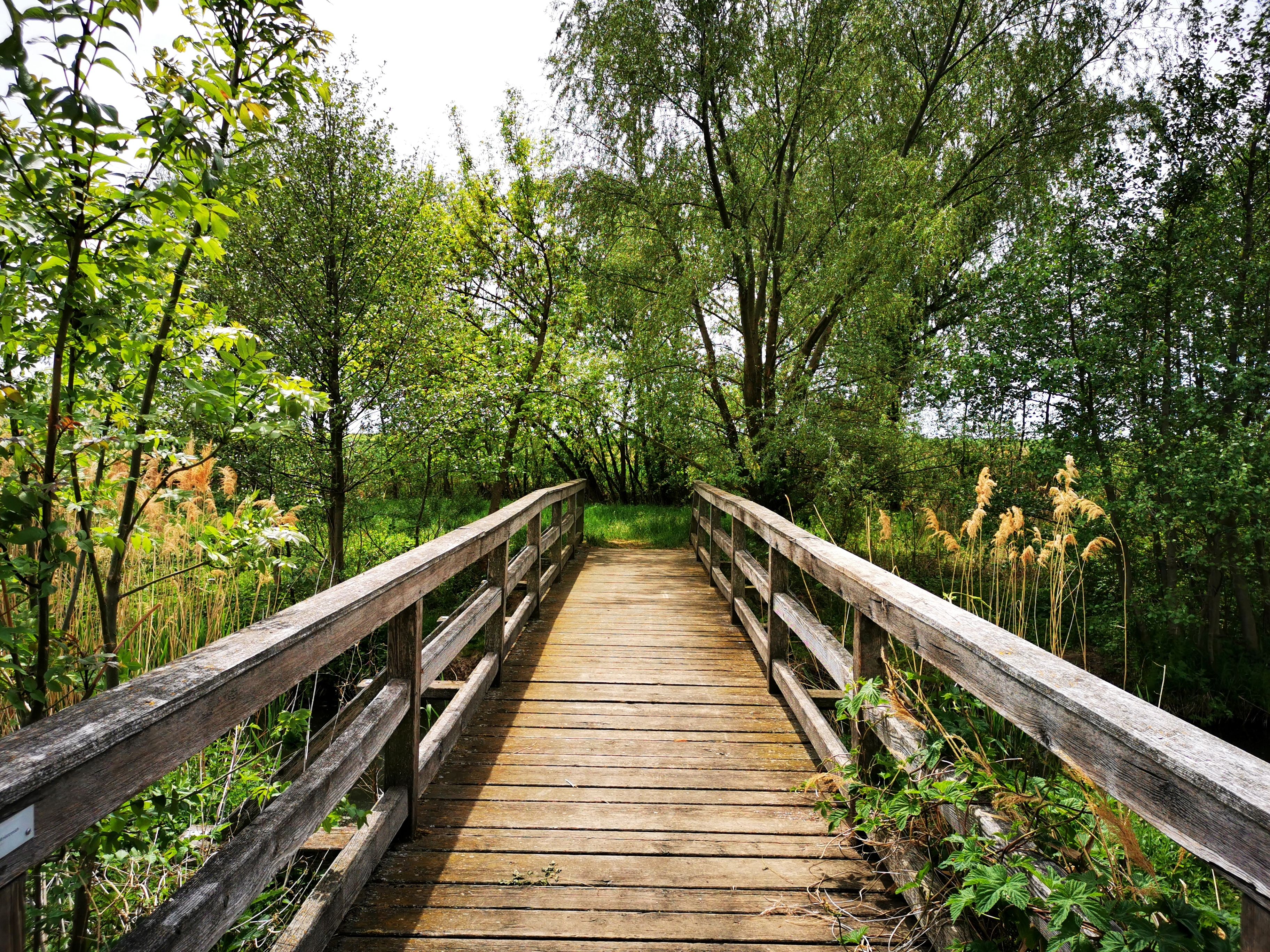 Roseldorf recreation area