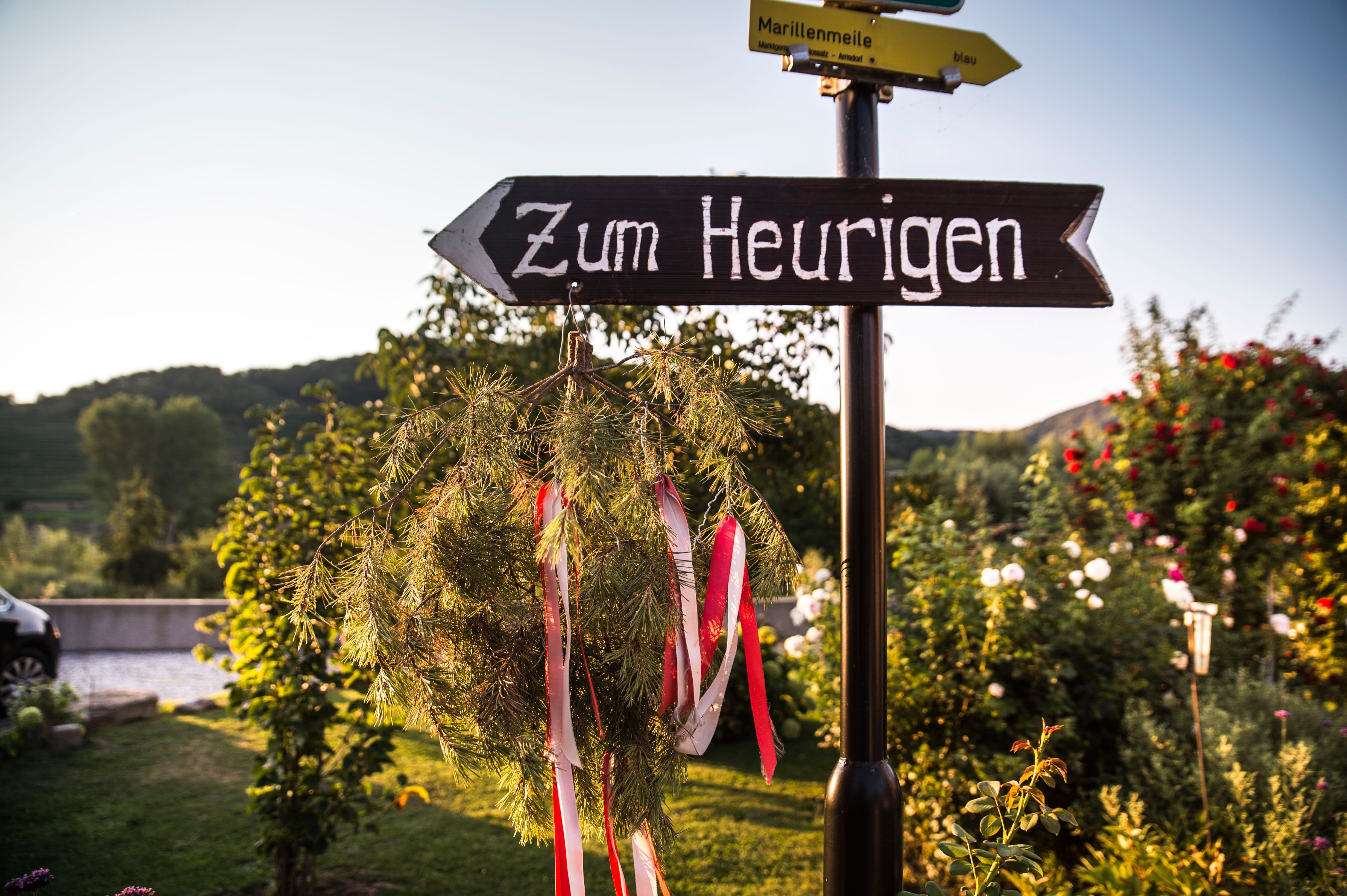 A signpost with the inscription 'Zum Heurigen' points in one direction. Trees and flowers can be seen in the background.