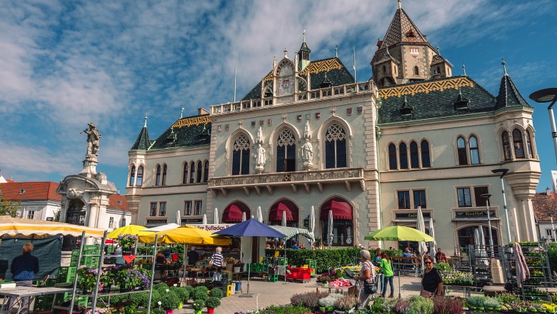 Weekly market in front of the town hall in Korneuburg with flower stalls and visitors.