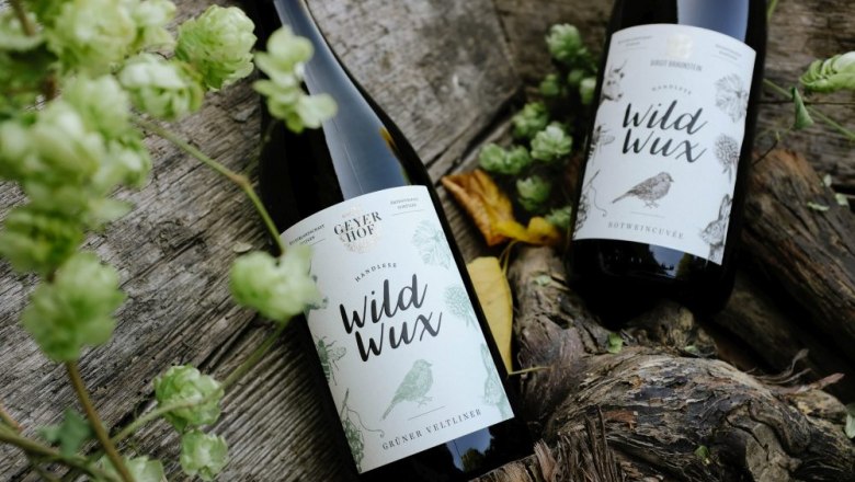 Two bottles of Wildwux wine on wood with hops and leaves.