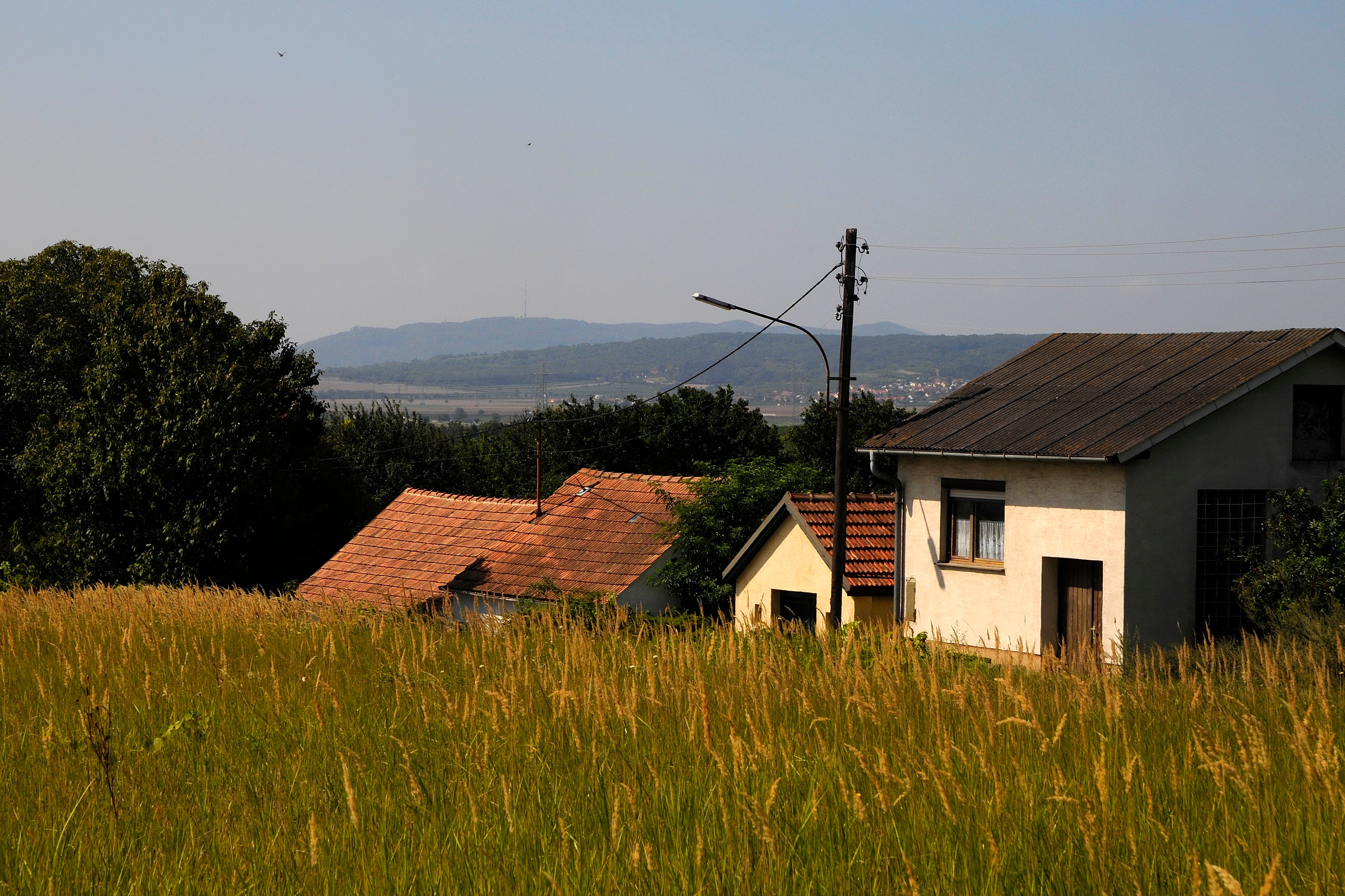 Rural scene with houses and meadows in the foreground, hills in the background.