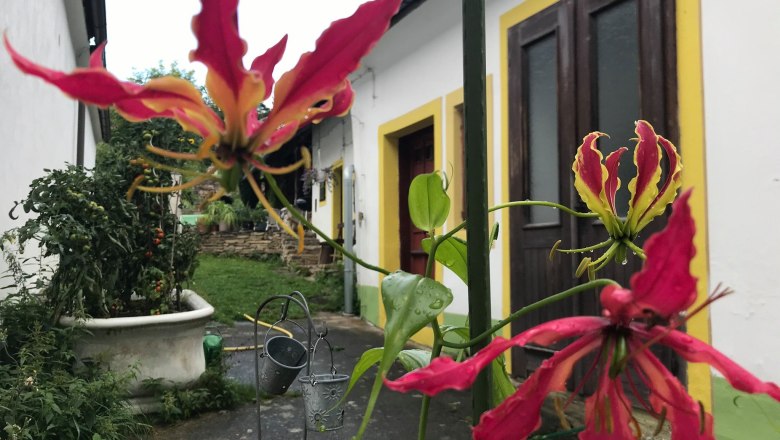 Vacation home, © U. Mitterbauer Vacation home, © U. Mitterbauer