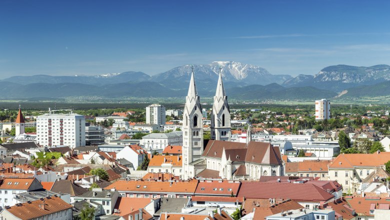 Panorama of Wiener Neustadt with the cathedral and mountains in the background.