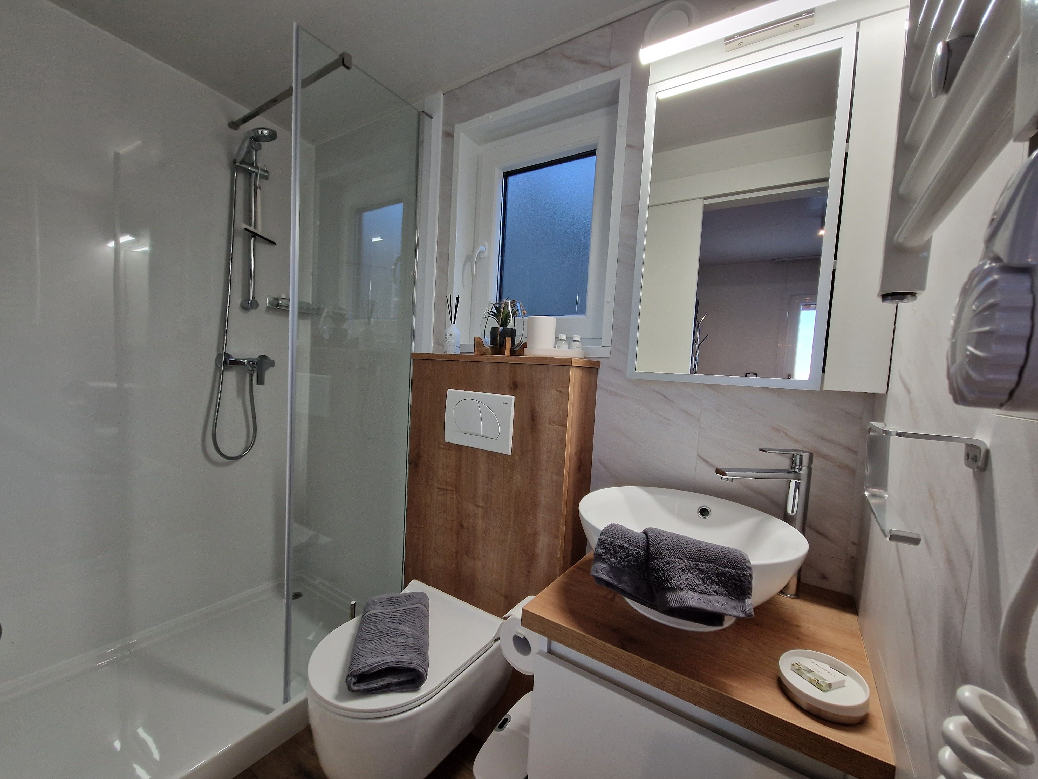 Modern bathroom with shower, washbasin and toilet.