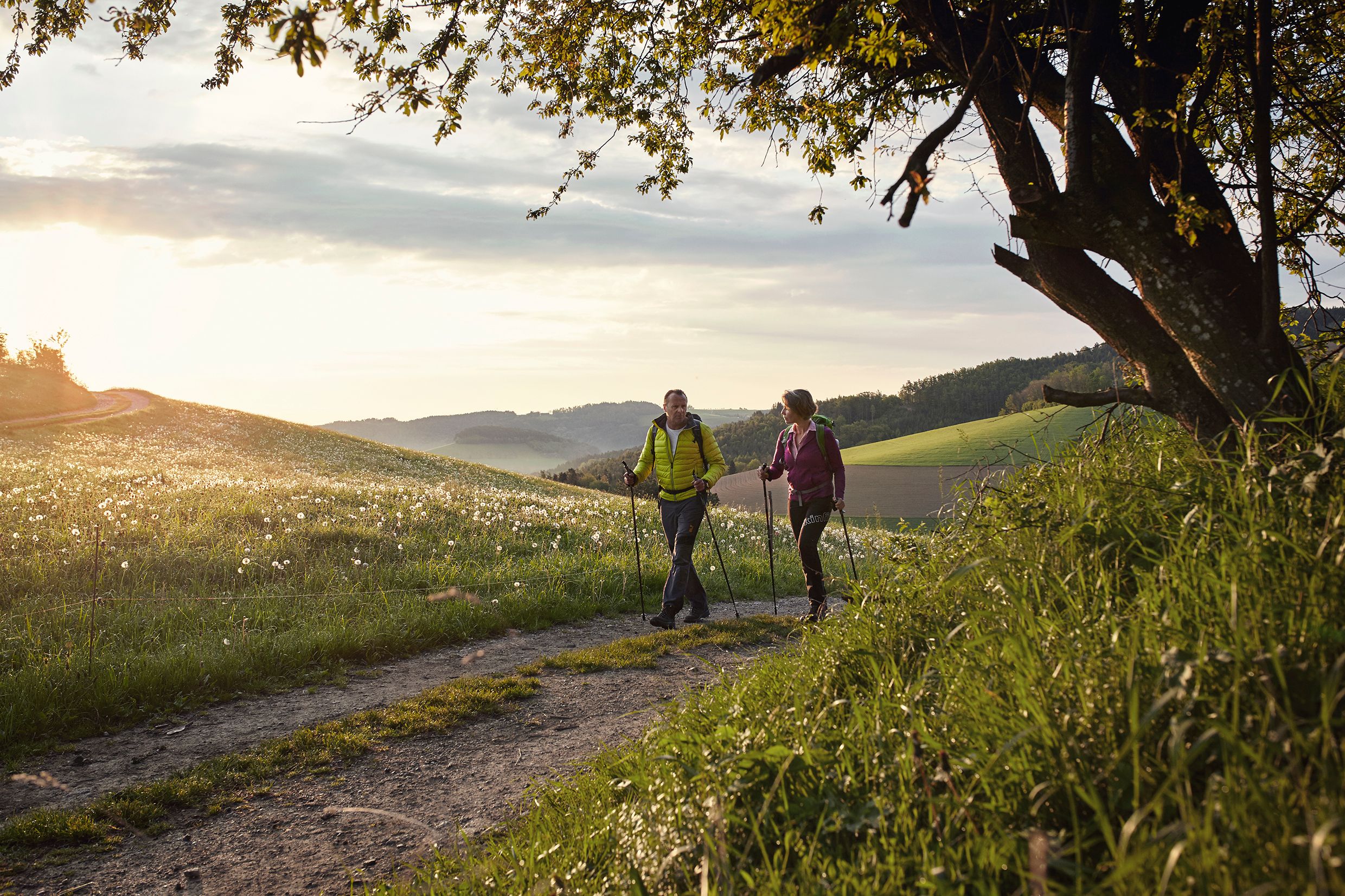 Two people walking along a country lane at sunset in a hilly landscape.