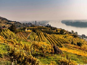 Herbstlandschaft rund um Krems, &copy; Robert Herbst