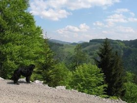 Auf den Himmel in Lehenrotte, &copy; Mostviertel