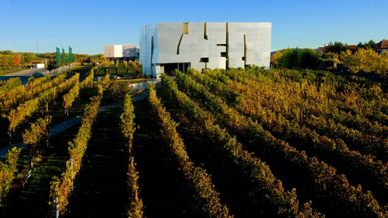 Modern architecture of LOISIUM in Langenlois, surrounded by vineyards.
