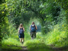 Wanderer - Gro&szlig;er Orther Rundwanderweg, &copy; Donau Nieder&ouml;sterreich - R&ouml;merland Carnuntum-Marchfeld