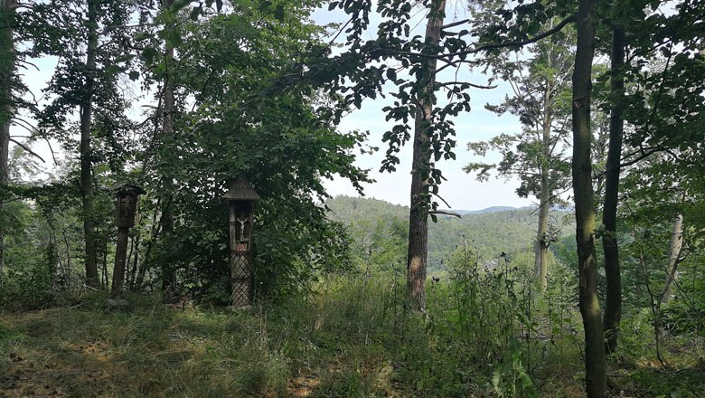 Forest path with wooden sculptures in Albrechtsberg.