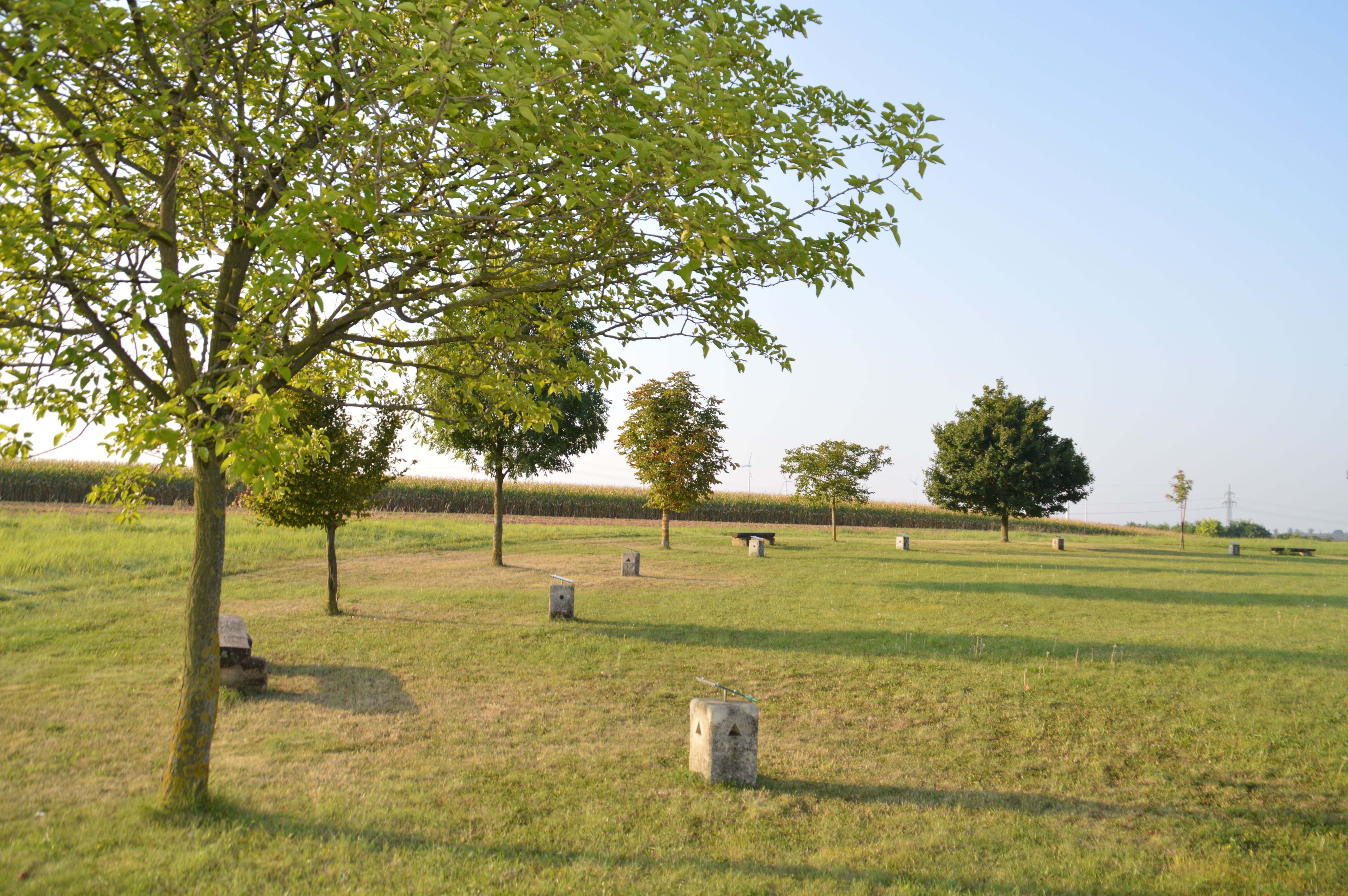 A circle of trees on a meadow with benches and concrete blocks in the Veltlinerland.