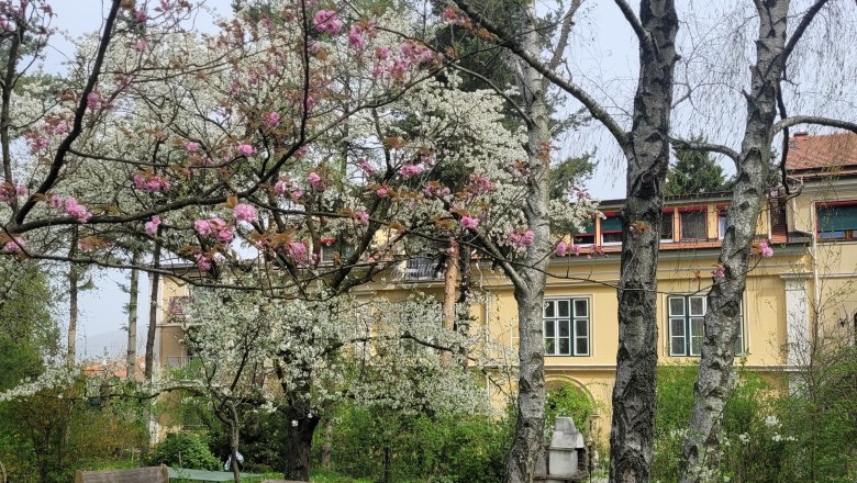 Villa Pannonica Wolfsthal, garden with trees
