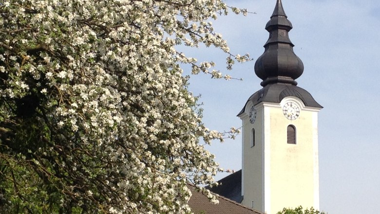 Church tower with blossoming tree in the foreground.