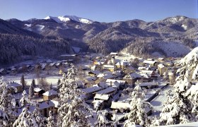 Winter landscape of St. Aegyd with snow-covered houses and mountains in the background.