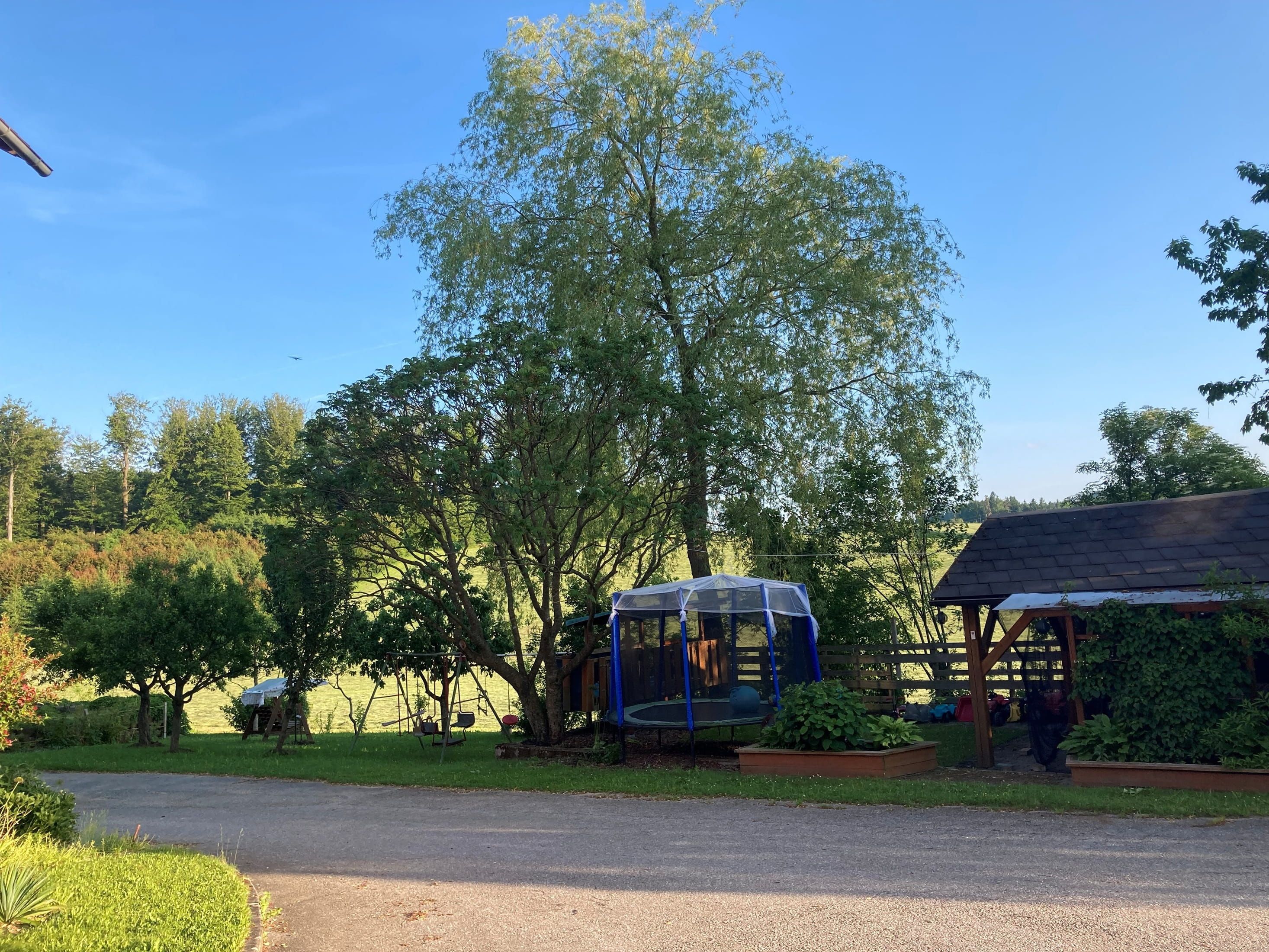 A garden with a trampoline, a garden shed and trees under a blue sky.