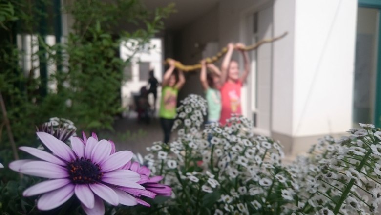 kids-playing-x, © Christoph Mehofer