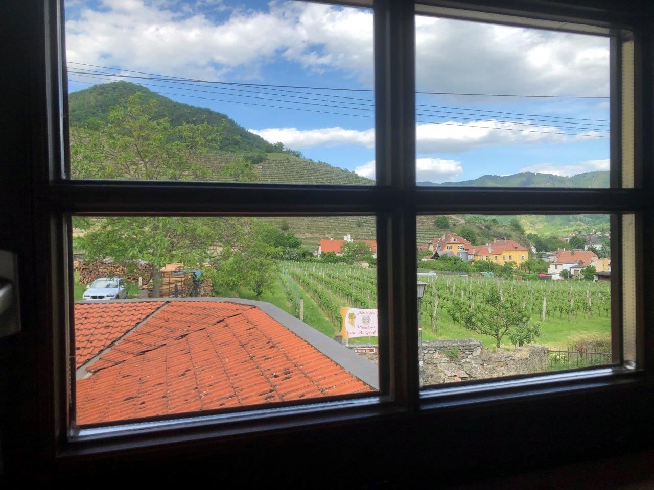 View from a window of a rural landscape with vineyards, houses and a hill in the background.
