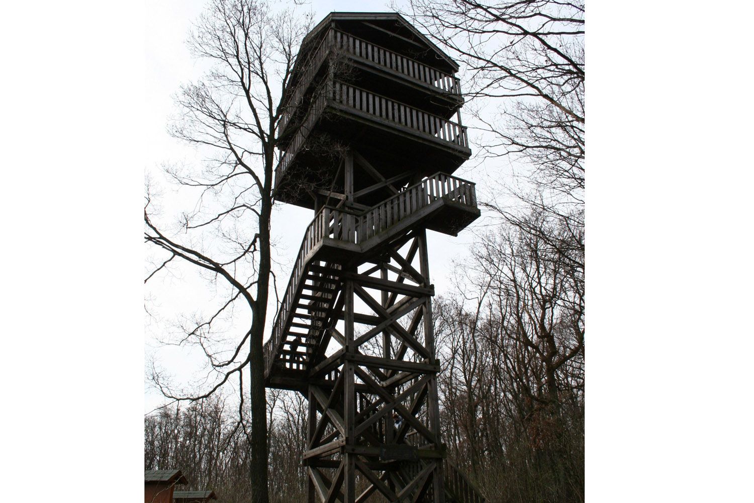 A wooden observation tower in the forest with several platforms and stairs.