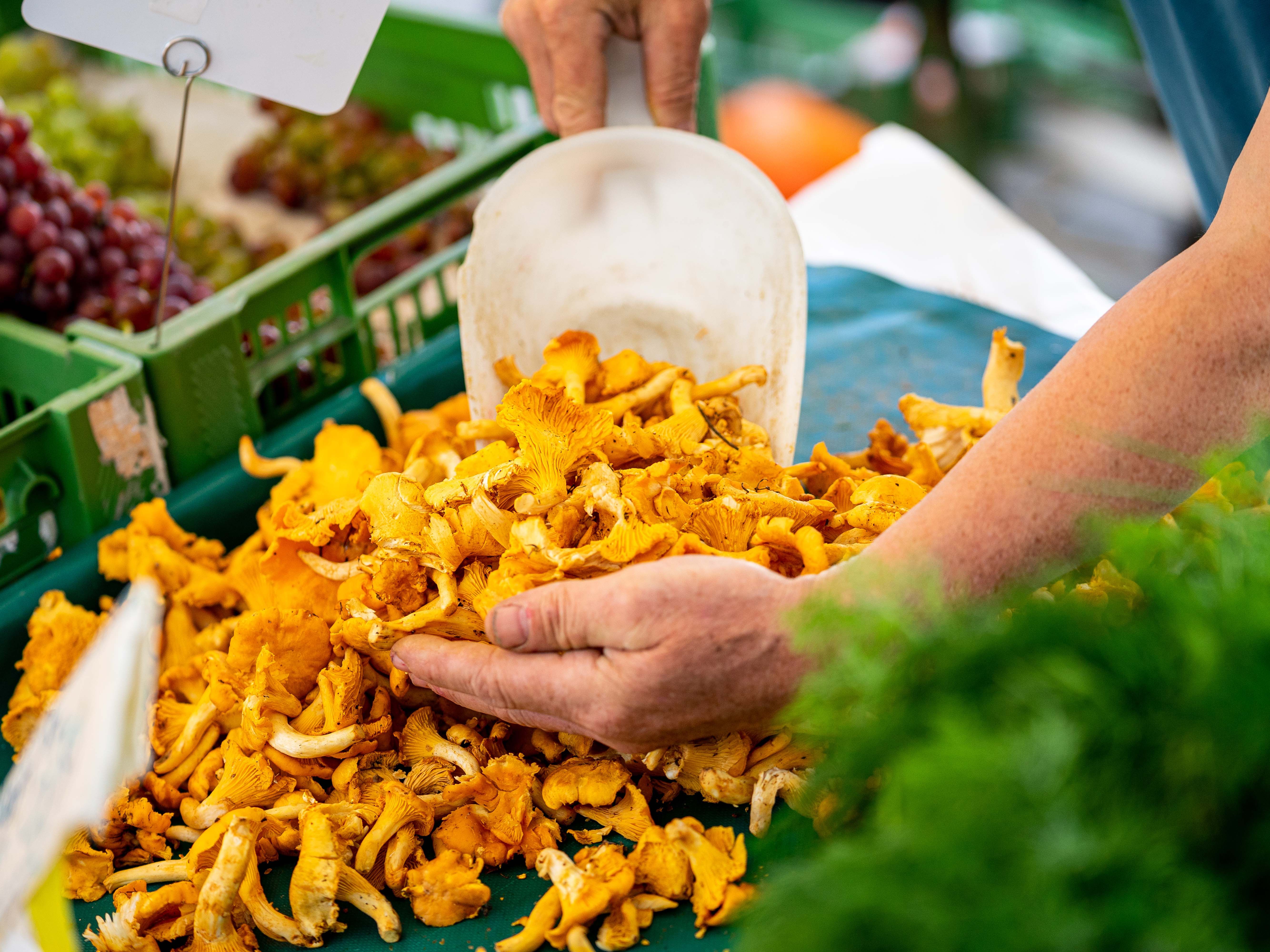 Hands sorting chanterelles on a market stall.