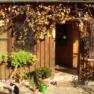 Entrance to a rustic wooden house with plants and cat.