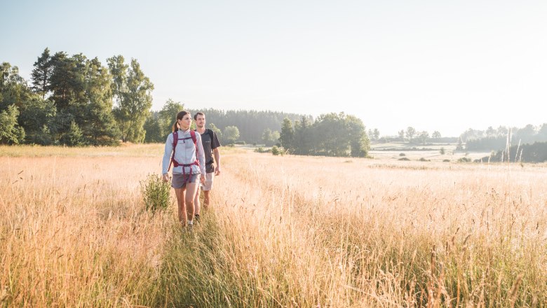 Hiking in Moorbad Harbach, &copy; Studio Ideenladen