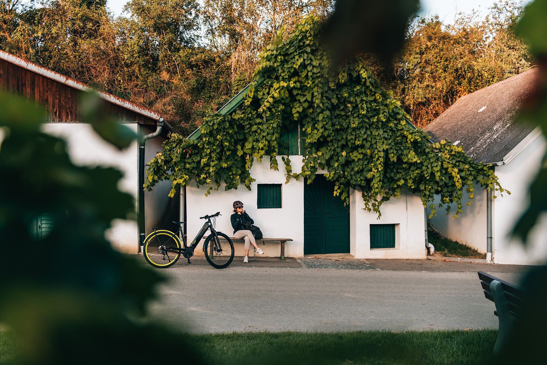 In der warmen Sommersonne sitzt ein Radfahrer entspannt auf einer Bank vor einem charmanten, von Weinreben umrankten Haus. Die sanfte Brise bringt den Duft der umliegenden Weinberge mit sich und lädt dazu ein, die Schönheit der Natur zu genießen.