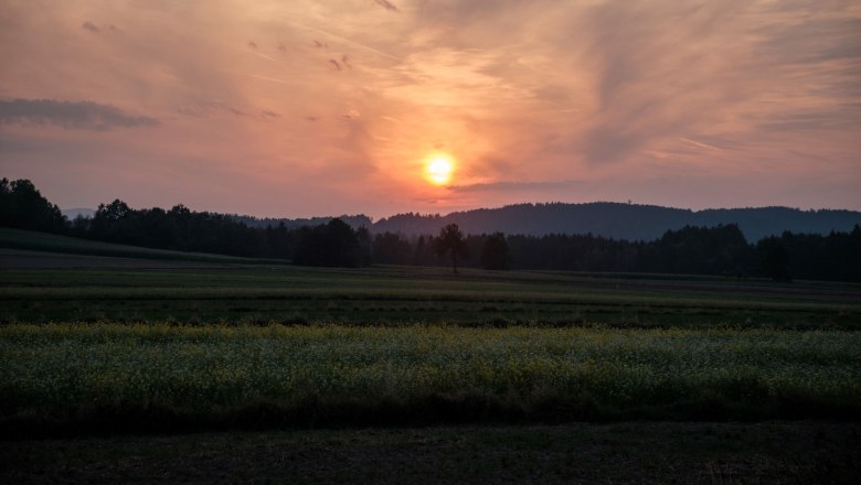Come to rest, © Klaus Ewert, Fotograf Laurin Buitmann