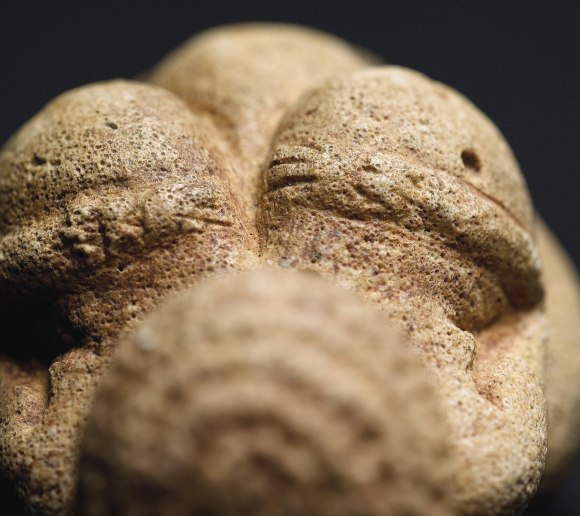 Venus of Willendorf, © Naturhistorisches Museum Wien www.nhm-wien.ac.at