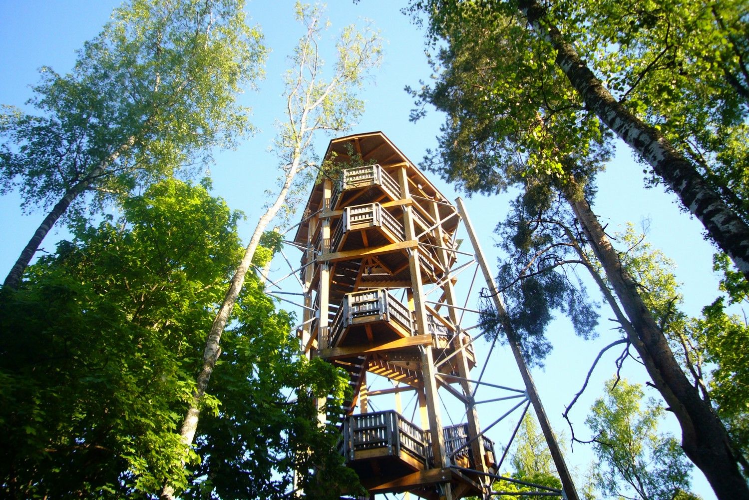 Wooden lookout tower in the forest with blue sky.
