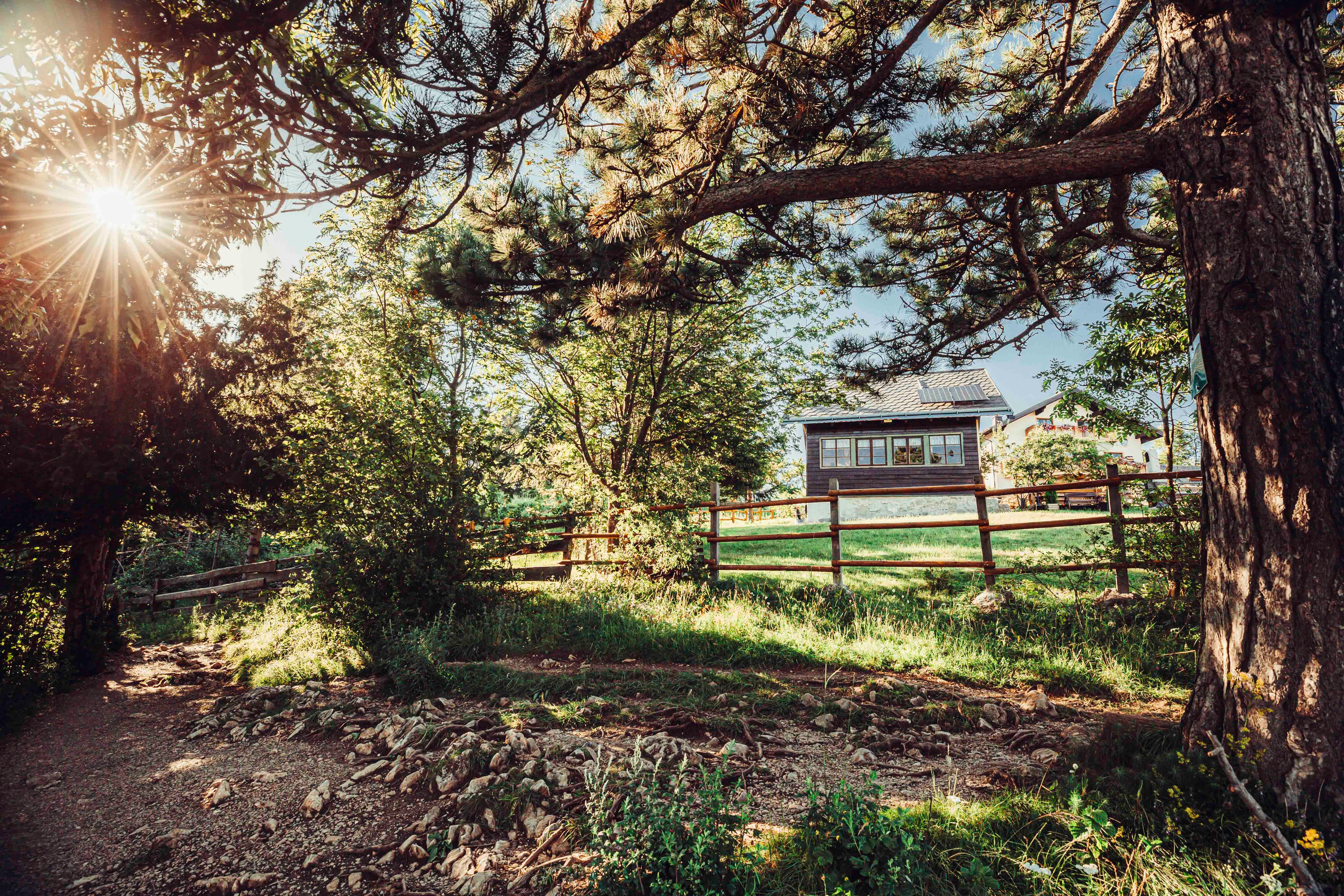 Sunbeams through trees in a nature park with a wooden house in the background.